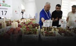 Yüz binler akın etti... Menemen'de çilek tadında festival