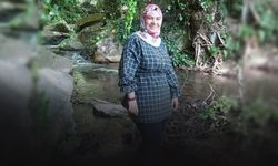 Yine bir sosyal medya vakası... Anneme gidiyorum diyen Zeynep, Kilis'te ortaya çıktı
