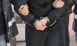 Aydın'da bağ evinden hırsızlık yaptığı öne sürülen şüpheli tutuklandı