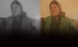 Damat tartıştığı kayınvalidesini bıçakla öldürdü