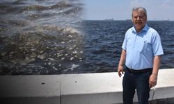 Prof. Dr. Doğan Yaşar: İzmir Körfezi 'çok ağır hasta'