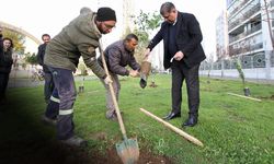 Karşıyaka’da iklim krizine karşı 95 bin ağaç toprakla buluşturuldu