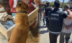 Muğla ve Aydın'da uyuşturucuya 4 tutuklama