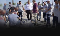 Kurban Bayramı anlam kazandı...  İhtiyaç sahibi 6 bin aileye et dağıtılacak