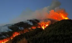 Hatay’daki orman yangınıyla ilgili 1 kişi tutuklandı