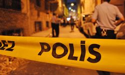 Denizli'de şarampole devrilen otomobilin sürücüsü öldü