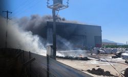 İzmir'de korkutan yangın... Yakındaki evlere sıçradı!