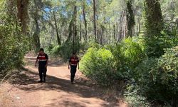 Muğla'da sahil güvenlik ekipleri orman yangınlarına karşı denizden devriye görevi yapıyor
