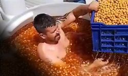 Zeytin tankına yarı çıplak giren işçinin ifadesi ‘pes’ dedirtti
