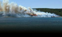 Urla'daki maki yangını enerji nakil hattından çıkmış