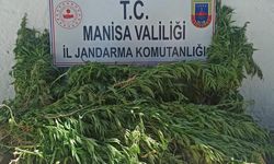 Manisa'da uyuşturucu operasyonunda 2 şüpheli gözaltına alındı