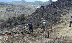 Bodrum'da otluk yangını; 5 hektar alan yandı