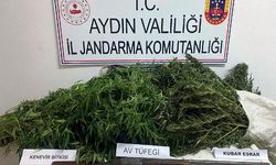 Evlerinde uyuşturucuyla yakalanan çift gözaltında
