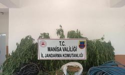 Manisa'da uyuşturucu operasyonu: 1 gözaltı