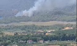 Muğla'da orman yangını