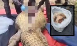 Kayıp çiftçi timsah midesinden çıktı
