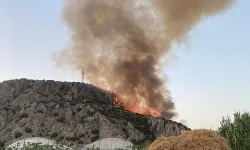 Çeşme'de makilik alanda çıkan yangın kontrol altına alındı