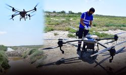 İzmir Büyükşehir seferberlik ilan etti... Sivrisinek ile dronlu mücadele