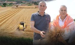 Torbalı Belediyesi buğday hasadını tamamladı... İhtiyaç sahibi vatandaşların sofrasına ulaşacak