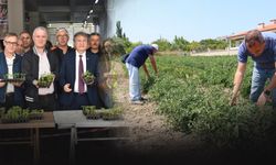 Bornova Belediyesi'nden çiftçiye tam destek... Üreticilerin sorunlarına çözüm bulunuyor