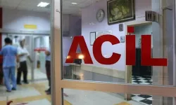 5 yaşındaki çocuk 2 yaşındaki kardeşini öldürdü