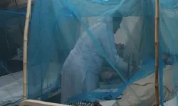 Ölümcül virüs hızla yayılıyor