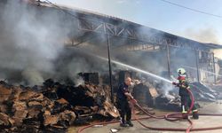 Aydın'da incir işleme tesisinde çıkan yangın hasara neden oldu