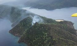 Marmaris'te ormanlık alanda yangın çıktı
