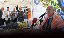 Kavacık Üzüm Festivali coşkuyla başladı... Başkan Selvitopu: "Üreticimizin yanındayız"