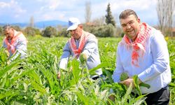 Seferihisar’ın yüzü tarımla gülüyor