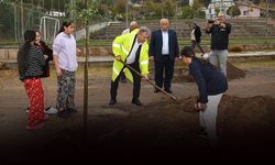 Bornova’da 100. yıla 100 fidan