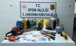 1200 saatlik kayıtlar incelendi... Hırsızlık şüphelisi tutuklandı