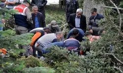 Kütahya'da kestane ağacından düşen kişi öldü