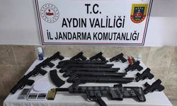 Evinde çok sayıda silahla yakalanıp, gözaltına alındı
