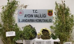 Evinde uyuşturucuyla yakalanıp, gözaltına alındı
