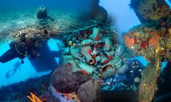 Yassıada'nın derinliklerindeki muhteşem görüntüler