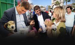 Karşıyaka Belediyesi sokak hayvanları için çalışmaya devam ediyor