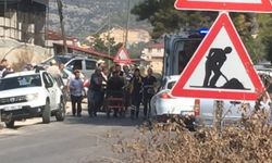 Yaban arılarının saldırdığı şahıs hayatını kaybetti