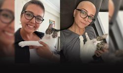 Kedisi tırmaladığı için şişti sandı meme kanseri çıktı