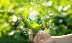 Karbon yakalama teknolojilerinin enerji tüketimi, verimliliğini sorgulatıyor