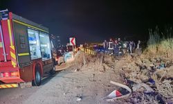 Tarlaya devrilen otomobilin sürücüsü öldü