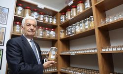 Muğla'da Cumhuriyet'in 100'üncü yılında 1 milyon yerel tohum dağıtılacak