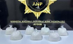 Otomobile gizlenen uyuşturucuyu narkotik köpeği 'Tina' buldu
