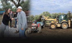Efes Selçuk'tan çiftçilere destek... 500 ton kompost gübre dağıtıldı