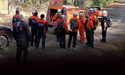Mantar toplamaya çıkmıştı... Yaşlı kadın ölü bulundu!