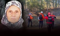 Mantar toplamak için ormana giden kadından acı haber