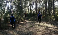 Manisa'da mantar toplarken kaybolan kişi bulundu