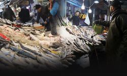İzmir'deki soğuk hava balık tezgahlarına bolluk getirdi