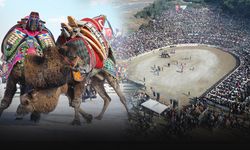 Efes Selçuk’ta Deve Güreşleri Festivali heyecanı!