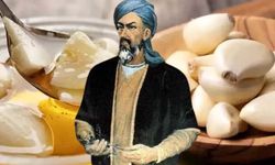 İbn-i Sina yüzyıllar önce şifayı keşfetmiş!